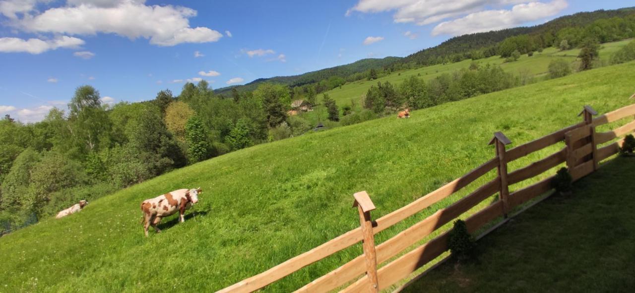 Goralskie Domki Na Podhalu - Z Jacuzzi Maniowy Екстериор снимка