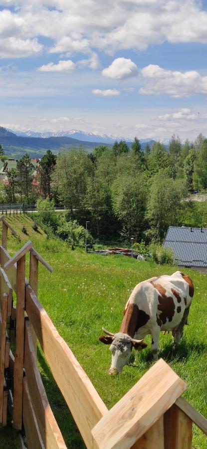 Goralskie Domki Na Podhalu - Z Jacuzzi Maniowy Екстериор снимка